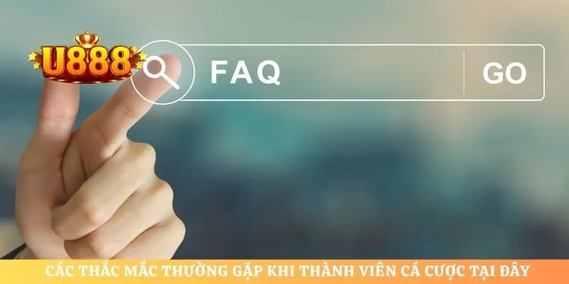 Các thắc mắc thường gặp khi thành viên cá cược tại đây