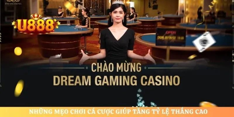 Những mẹo chơi cá cược giúp tăng tỷ lệ thắng cao