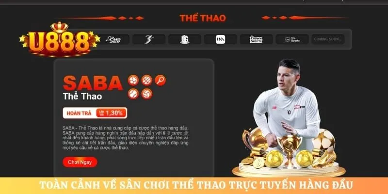 Toàn cảnh về sân chơi thể thao trực tuyến hàng đầu