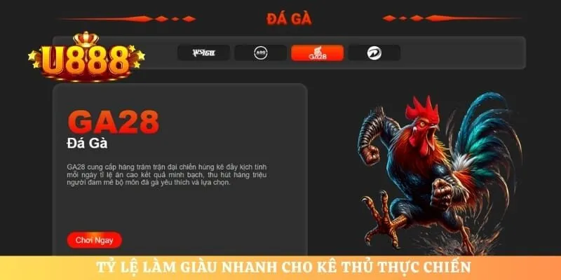 Tỷ lệ làm giàu nhanh cho kê thủ thực chiến